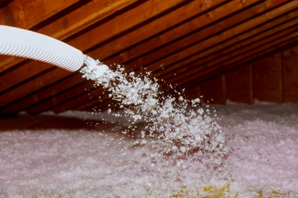 Best Cellulose Insulation in Allen, TX