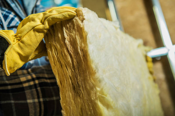 Best Residential Insulation in Allen, TX