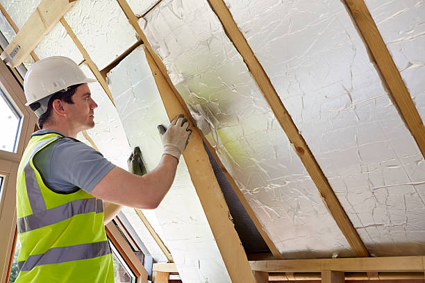 Best Geographic-Specific Insulation Services in Allen, TX