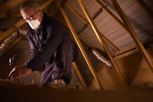 Best Commercial Insulation in Allen, TX