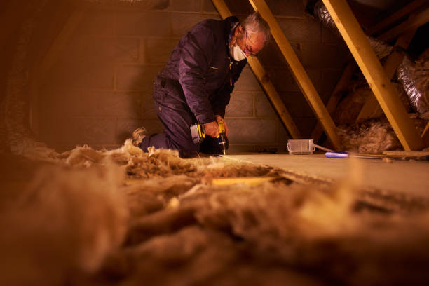 Trusted Allen, TX Insulation Contractor Experts