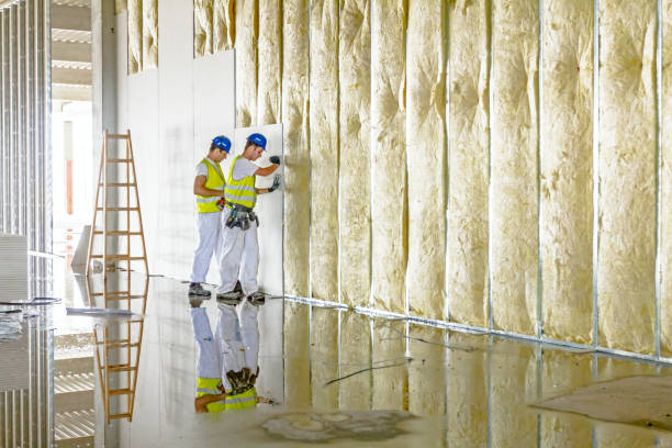 Best Insulation Maintenance and Repair in Allen, TX